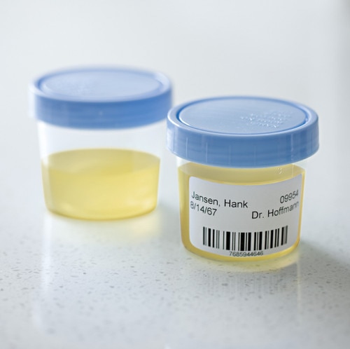 Labelcity 121000 Multipurpose Label